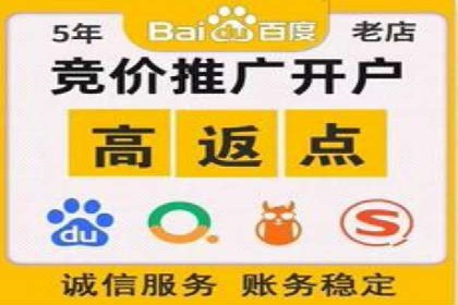SEM竞价优化策略：成功案例解析